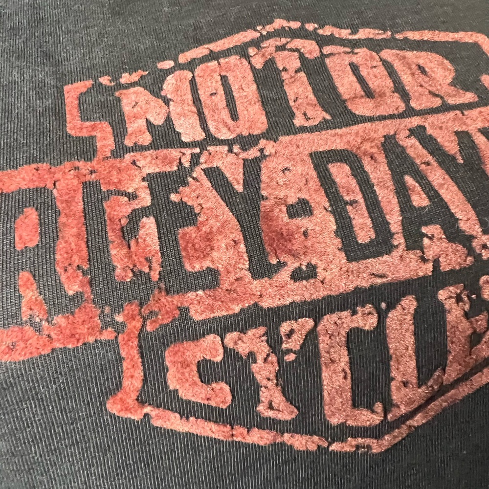 HARLEY DAVIDSON Long Sleeved T-Shirt L/XL Gray Embroidered Eagle